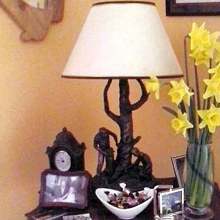 Bed & Breakfast Blossom Hill 4*