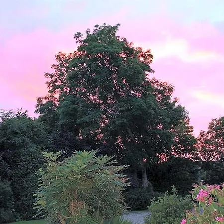 Blossom Hill Bed & Breakfast 4*
