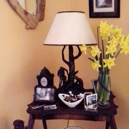 Couette-café Blossom Hill 4*