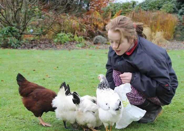 ベッド・アンド・ブレックファスト Blossom Hill 4*