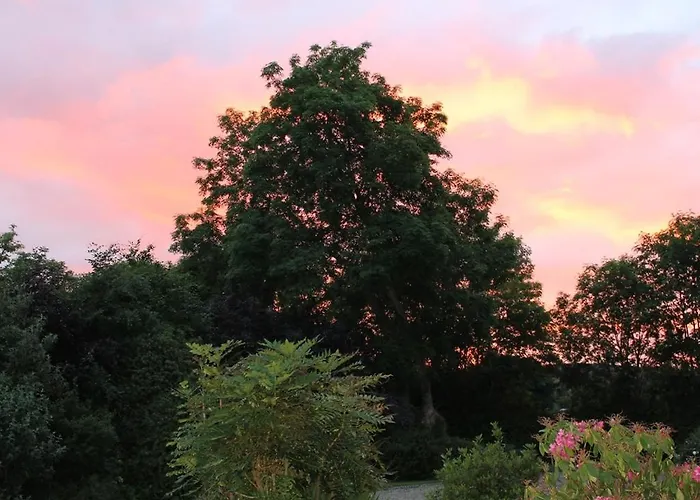 Blossom Hill Killaloe